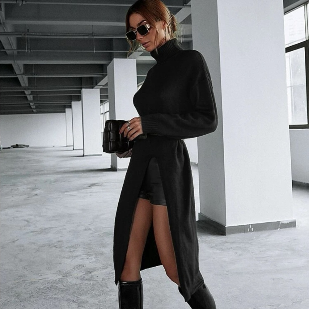 TURTLE NECK SWEATER DRESS